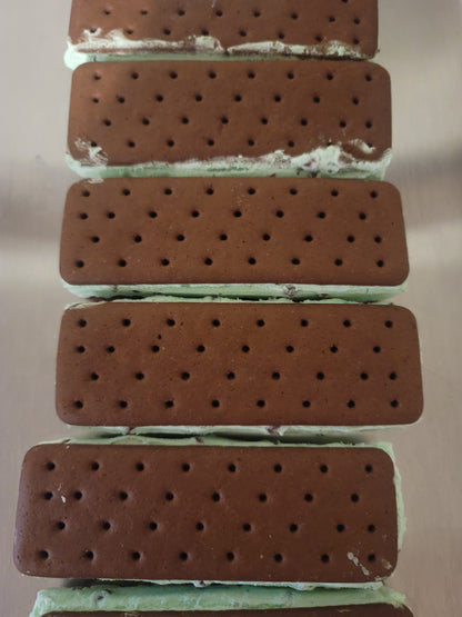 Freeze Dried Mint Ice Cream Sandwich