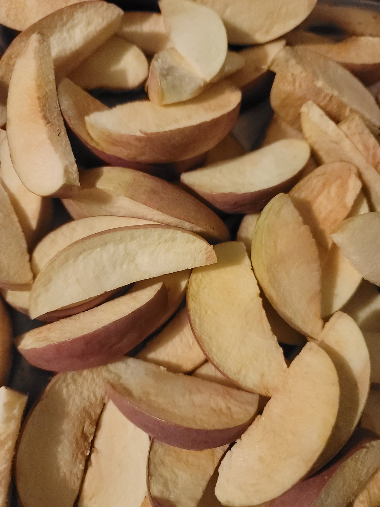 Freeze Dried Apples