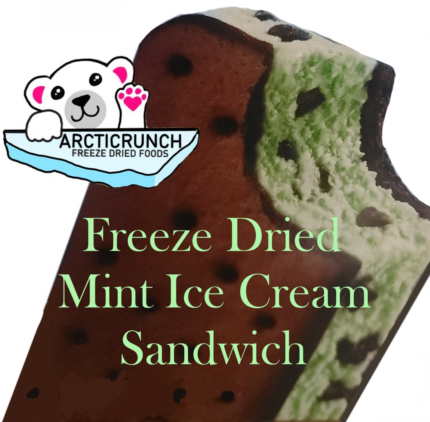 Freeze Dried Mint Ice Cream Sandwich