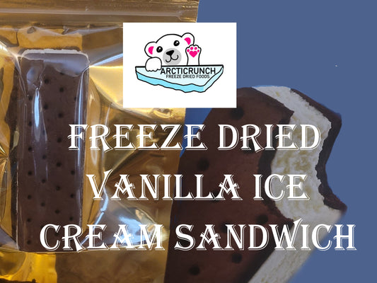 Freeze Dried Ice Cream Sandwich